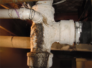 Somebody updated the plumbing on this one.  Note even with the entire tub of caulk holding the PVC pipe in place  there is still raw sewage running down drain onto basement floor.